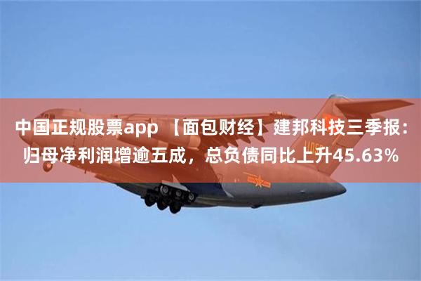 中国正规股票app 【面包财经】建邦科技三季报：归母净利润增逾五成，总负债同比上升45.63%