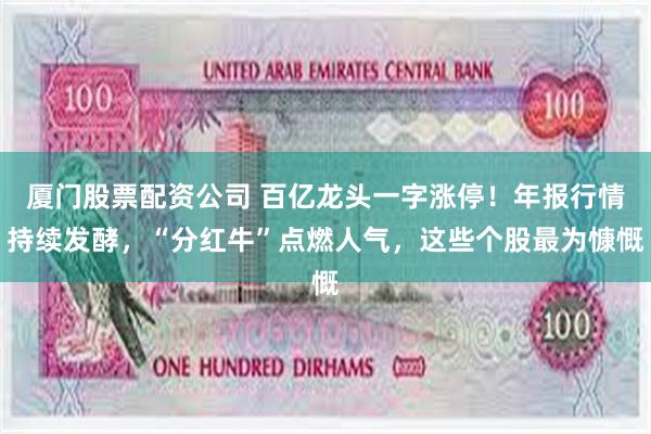 厦门股票配资公司 百亿龙头一字涨停！年报行情持续发酵，“分红牛”点燃人气，这些个股最为慷慨