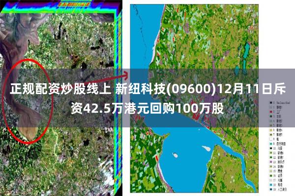 正规配资炒股线上 新纽科技(09600)12月11日斥资42.5万港元回购100万股