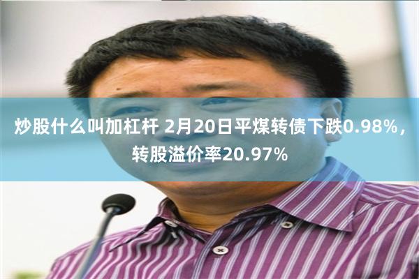 炒股什么叫加杠杆 2月20日平煤转债下跌0.98%，转股溢价率20.97%