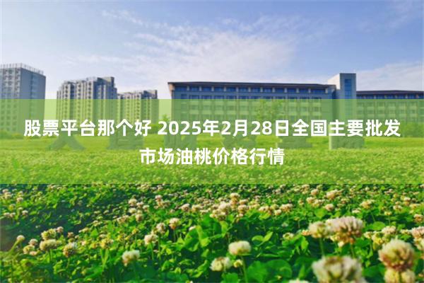 股票平台那个好 2025年2月28日全国主要批发市场油桃价格行情