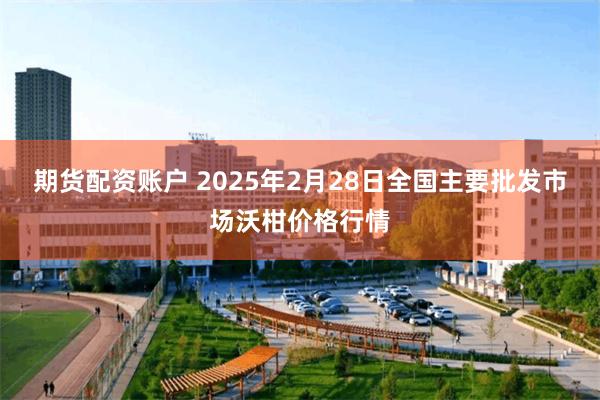 期货配资账户 2025年2月28日全国主要批发市场沃柑价格行情